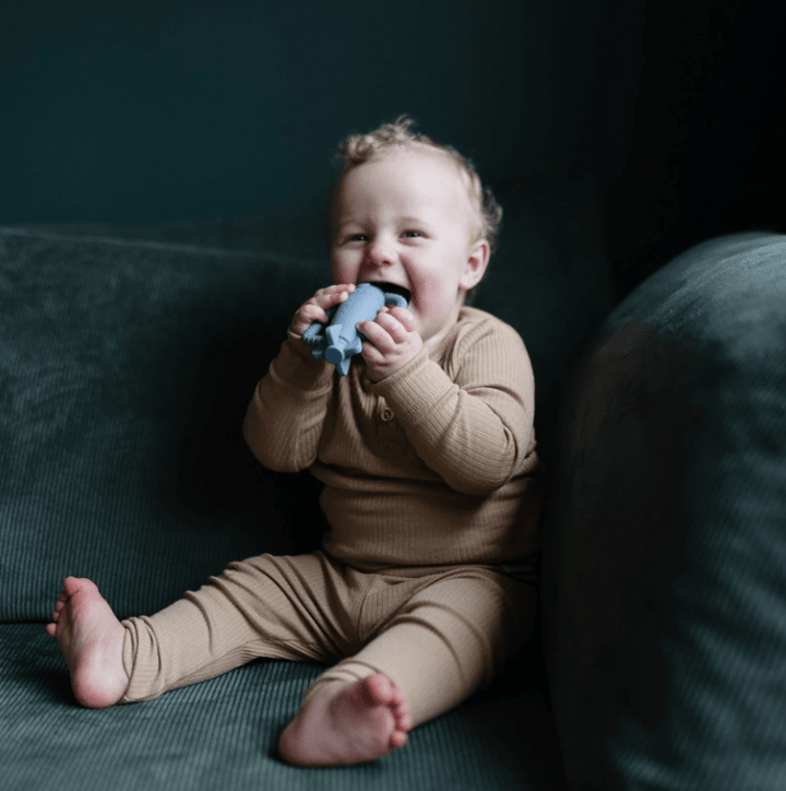 Mushie Rattle Teether- Rocket Pacifiers and Teething Mushie   