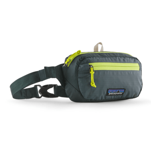 Patagonia Ultralight Black Hole Mini Hip Pack Purse Patagonia Patchwork: Conifer Green  