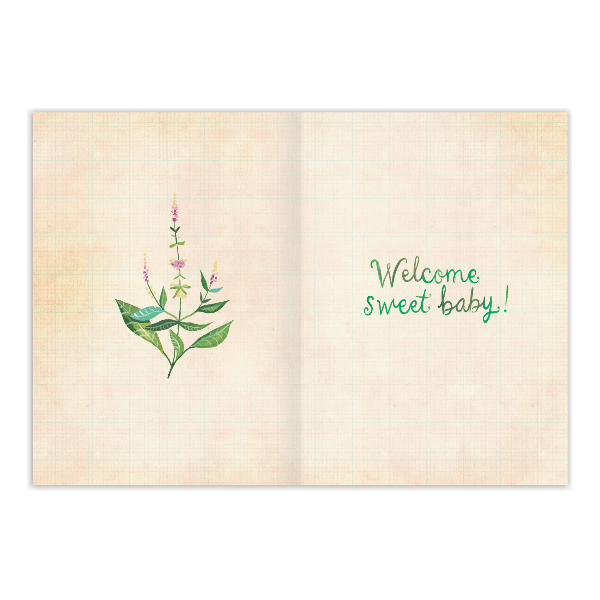 Biely & Shoaf Belong Here Baby Card Greeting Card Biely & Shoaf   