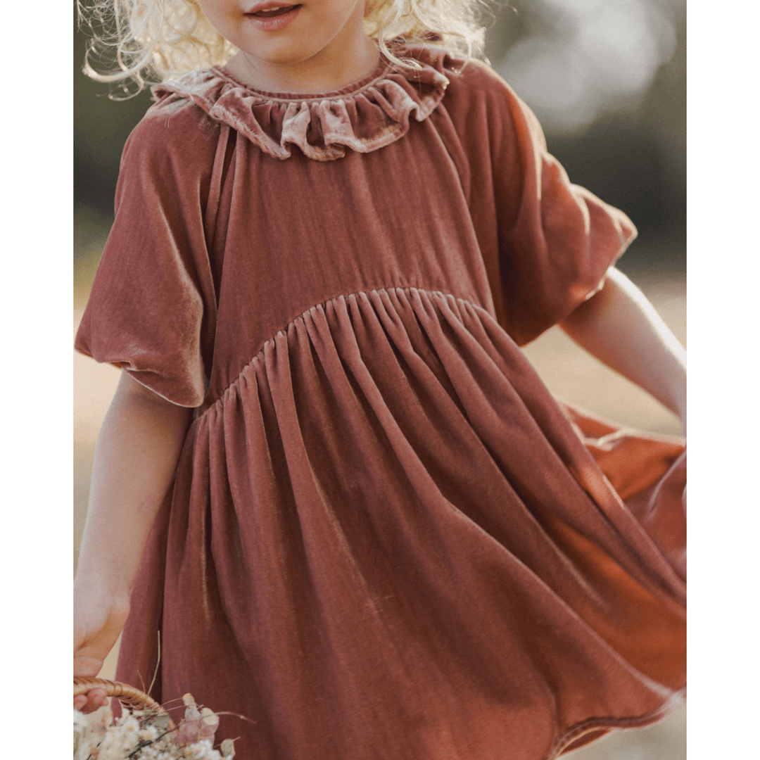 Noralee Adeline Dress- Poppy Holiday dress Noralee   