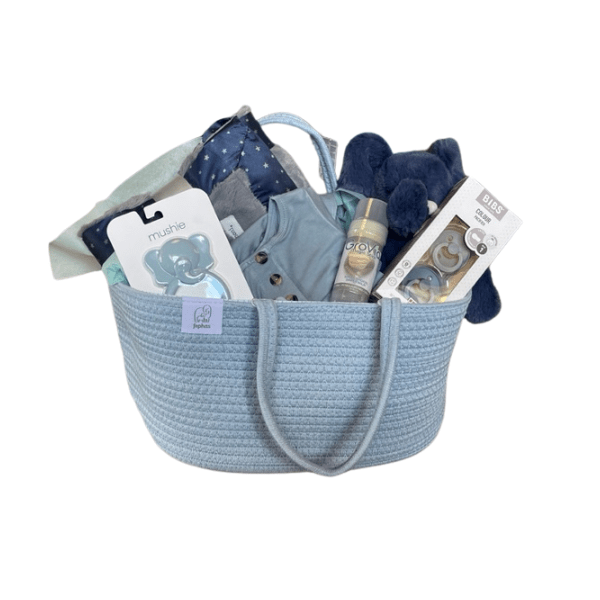 Gift Basket- $200 Value Children's Accessories Gift Basket Boy (Blue/ Green)  