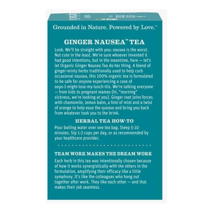 Earth Mama Organics Ginger Nausea Tea Supplements & Remedies Earth Mama Organics   