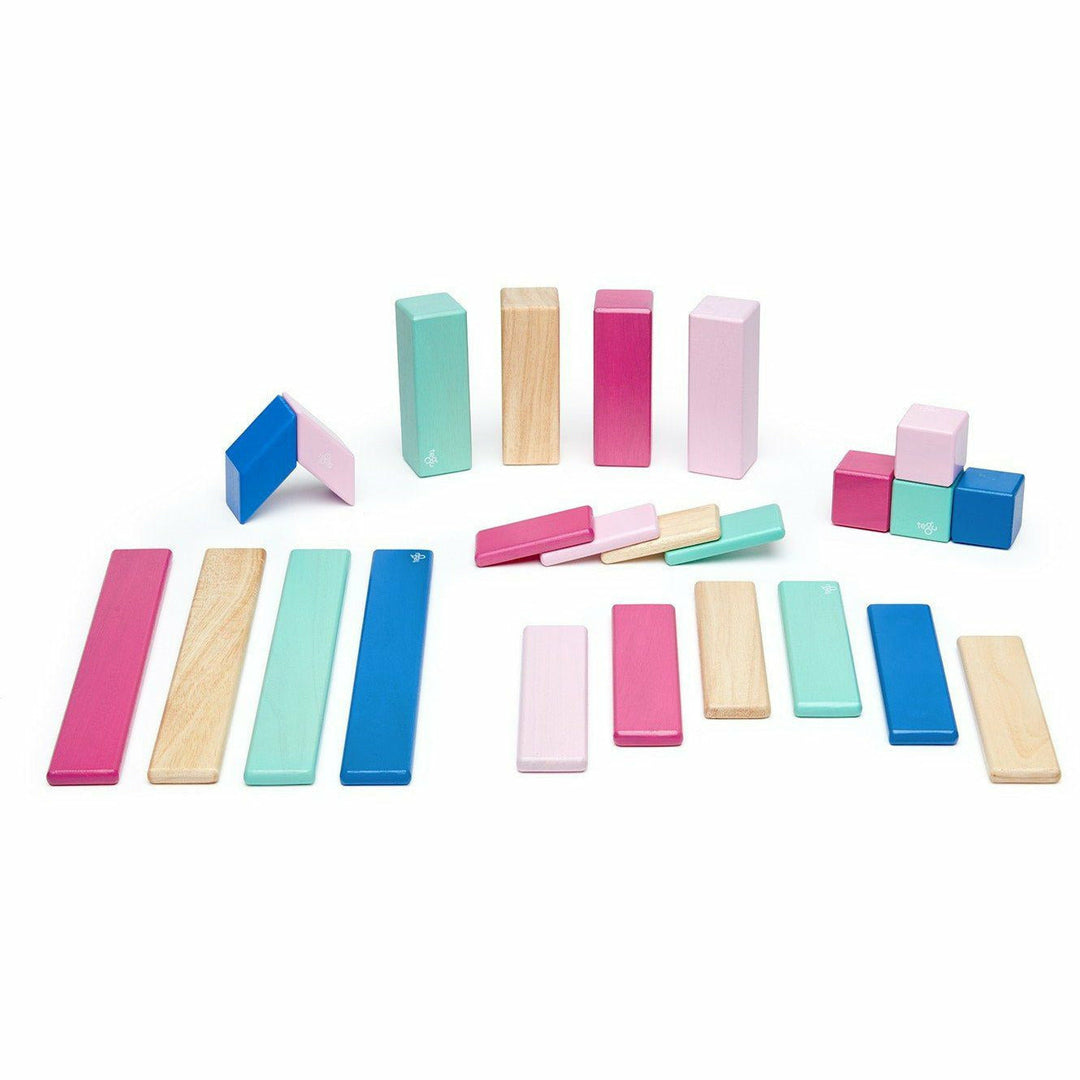 Tegu 24 Piece Magnetic Wooden Block Set: Blossom Wooden Toys Tegu   