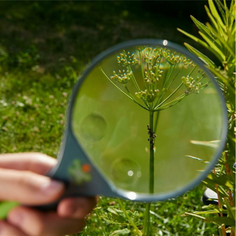 Haba Terra Kids - Magnifying Glass Toddler And Pretend Play Haba   