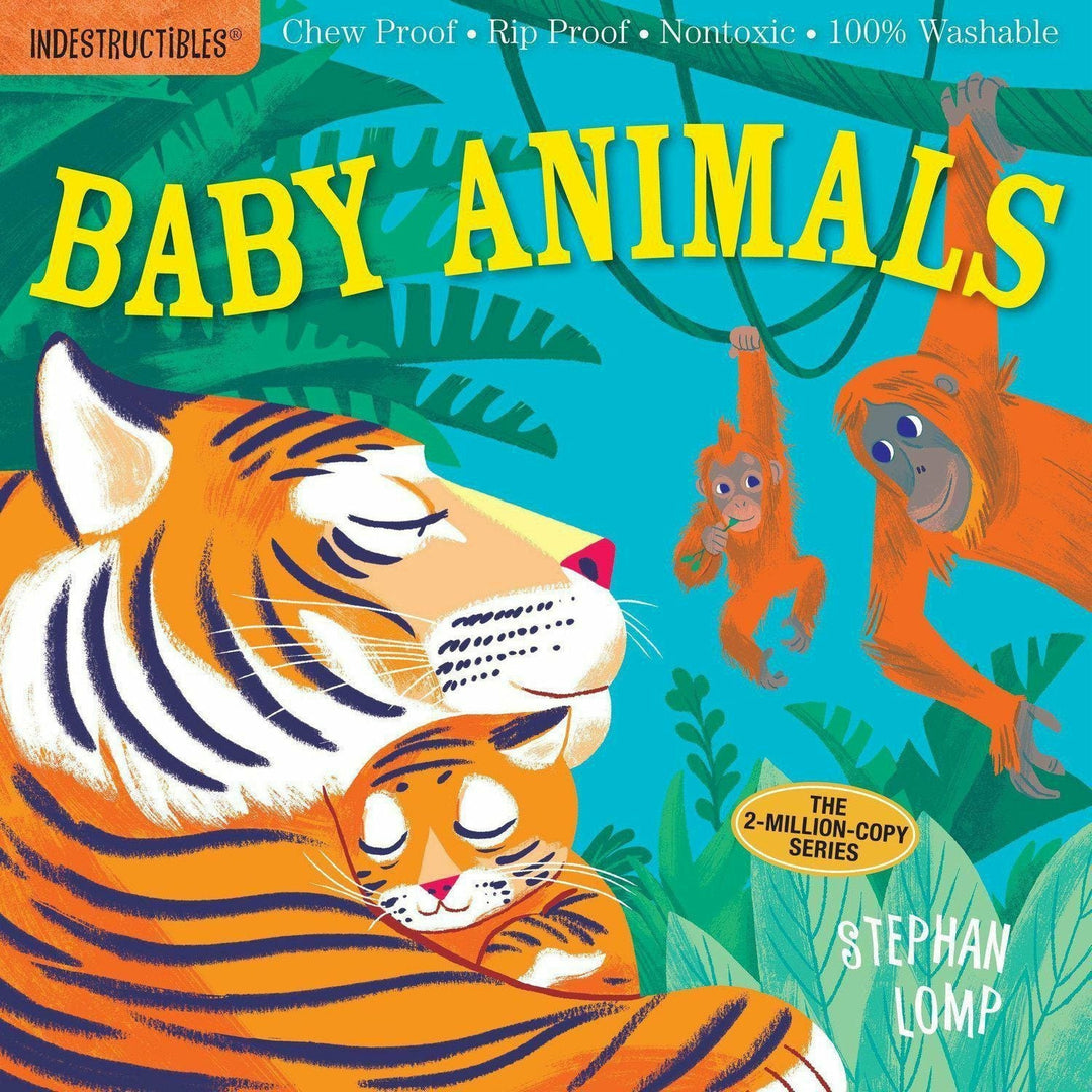 Indestructibles Books - Love You, Baby Books Indestructibles Books   