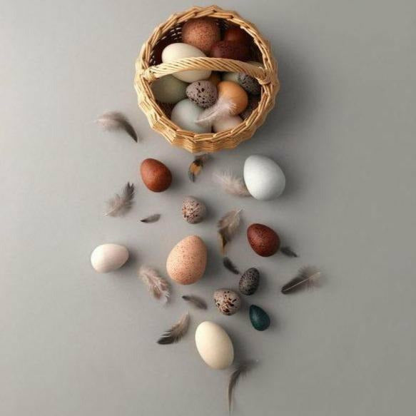 Moon Picnic - A Dozen Bird Eggs Basket Wooden Toys Moon Picnic   