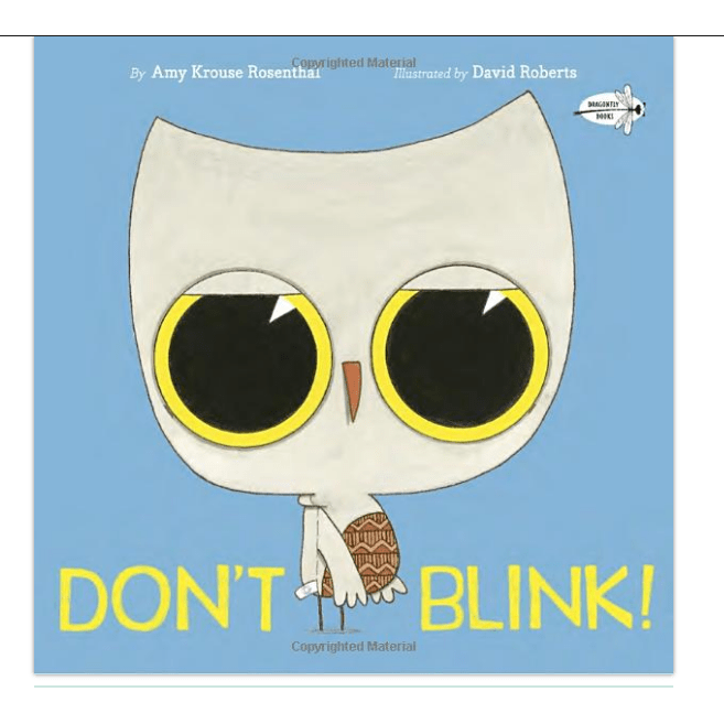 Don't Blink Books Ingram Books   