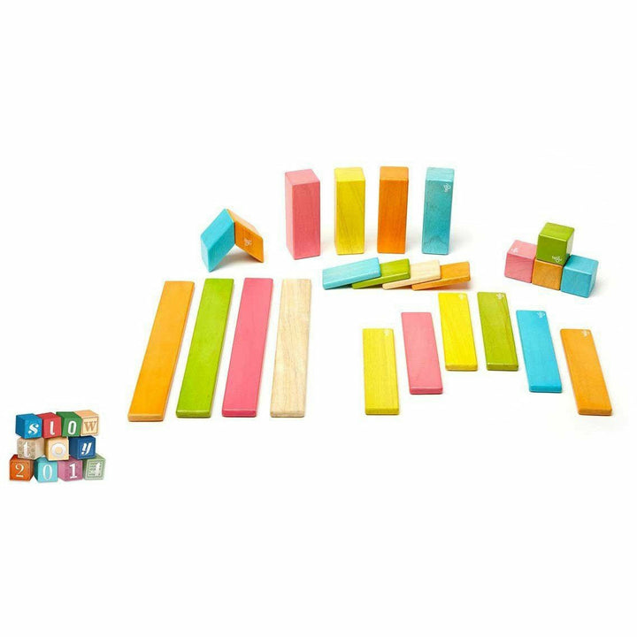 Tegu 24 Piece Magnetic Wooden Block Set: Tints Wooden Toys Tegu   